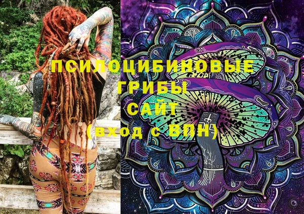 spice Алзамай