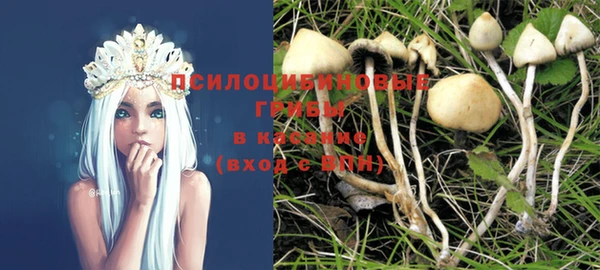ПСИЛОЦИБИНОВЫЕ ГРИБЫ Алексин