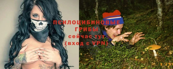 МДПВ Алексеевка